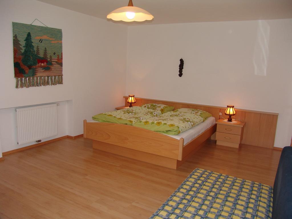 Appartement Gandler Olang Екстериор снимка